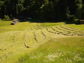 Ferienhaus Neuhäusl in Brandenberg Ferienhaus Neuhäusl in Brandenberg